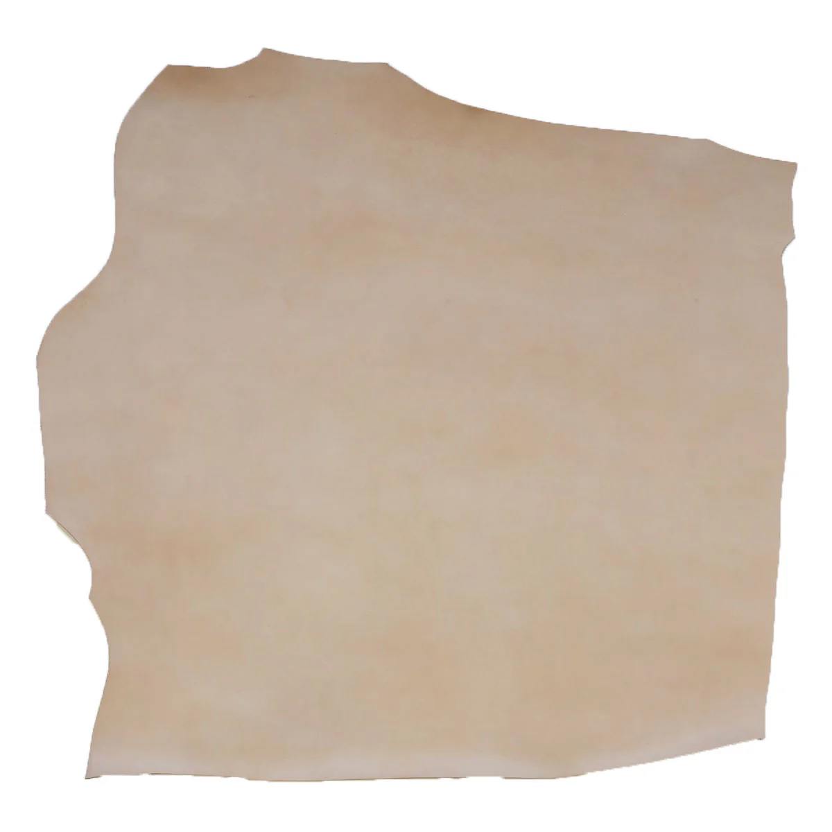 Bande de cuir de vachette tannage végétal NATUREL - VVN