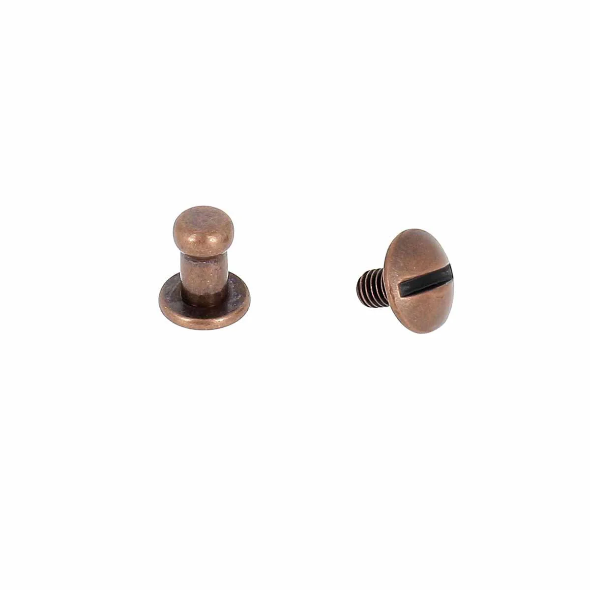 Lot de boutons de col à vis T3 avec vis 3x5mm - Image 16