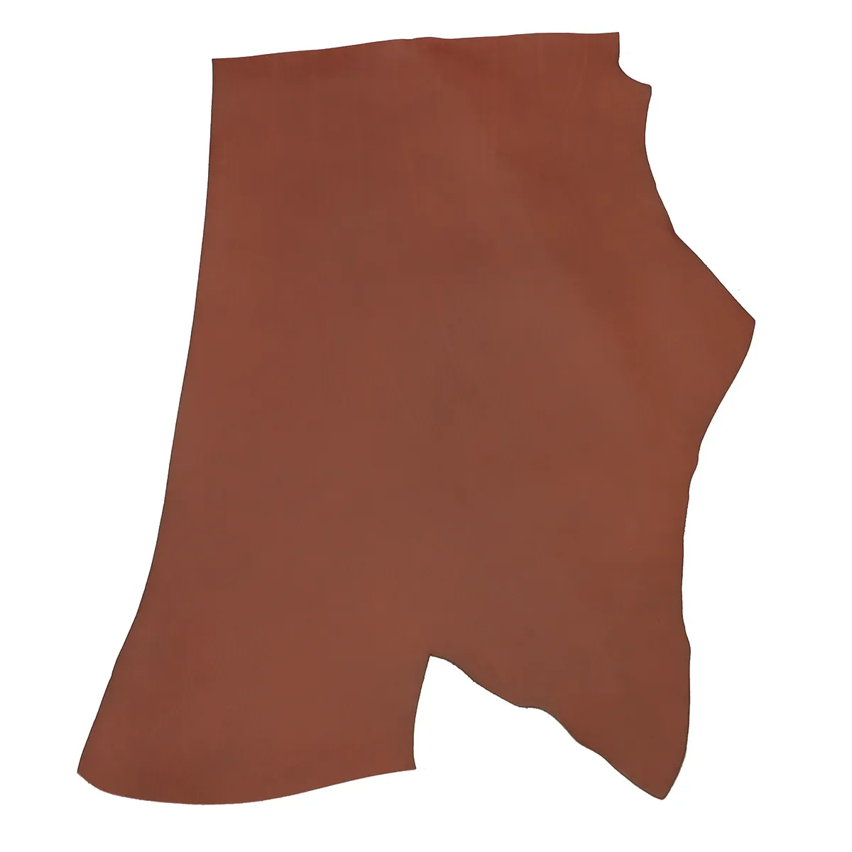 Collet tannage végétal SAUVAGE MAT - COGNAC - Image 4