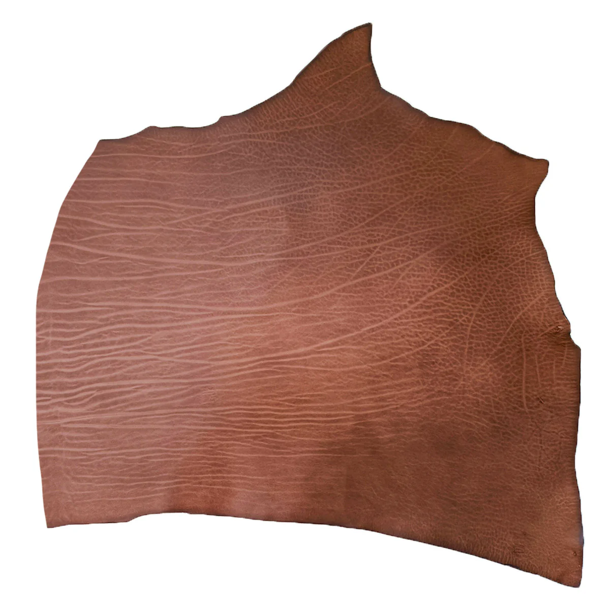 Collet tannage végétal SAUVAGE - NOISETTE - Image 4