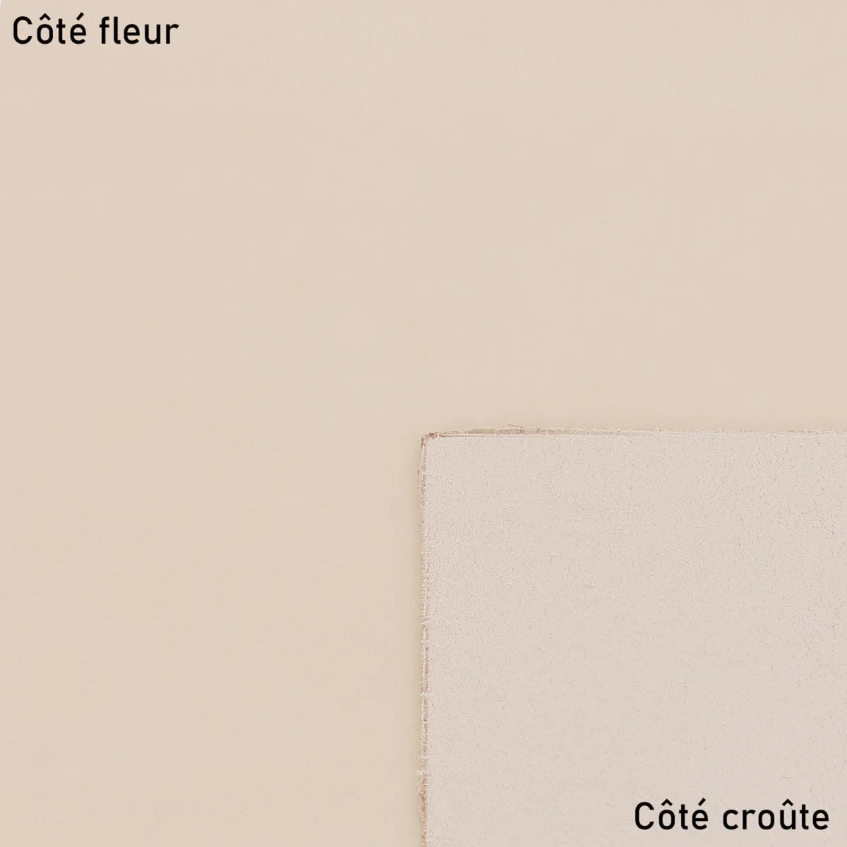 Morceau de cuir de vachette tannage végétal NATUREL - VVN - Image 4
