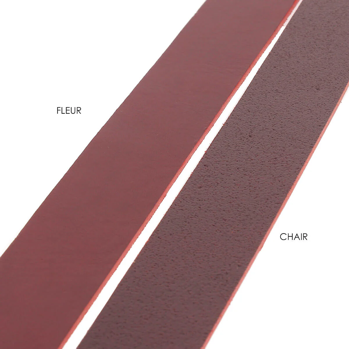 Échantillon de lanière de cuir de collet NOURRI LISSE - Image 3