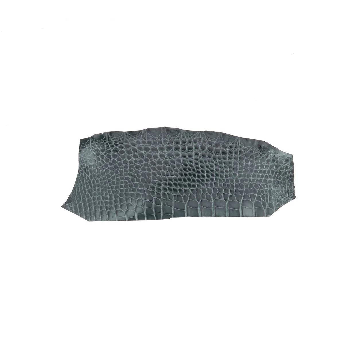 Flanc de cuir d'Alligator brillant - GRIS ORAGE