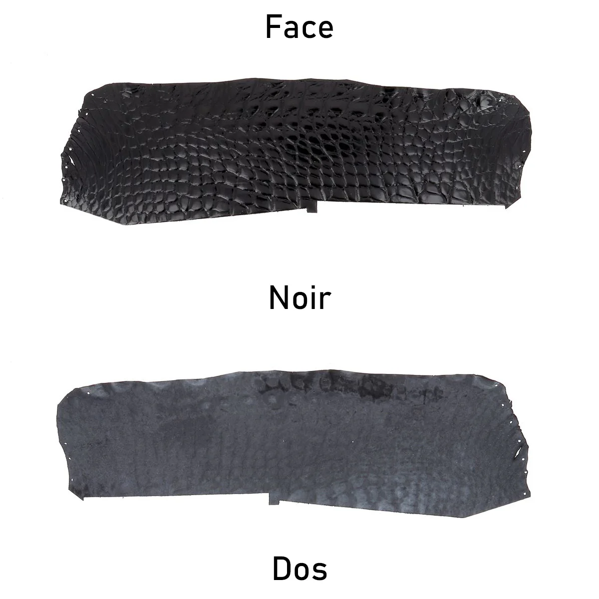 Flanc de cuir d'Alligator brillant - NOIR - Image 3