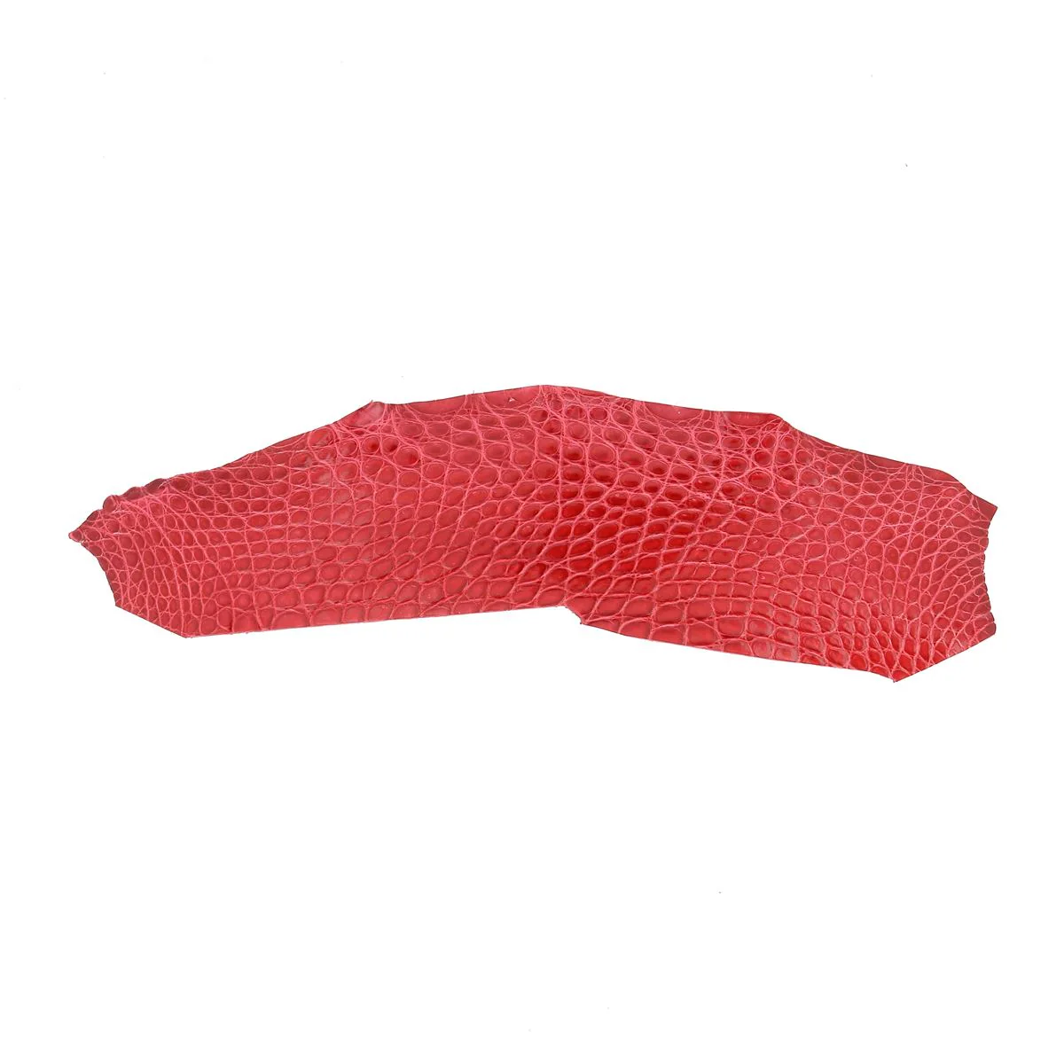 Flanc de cuir d'Alligator brillant - ROUGE