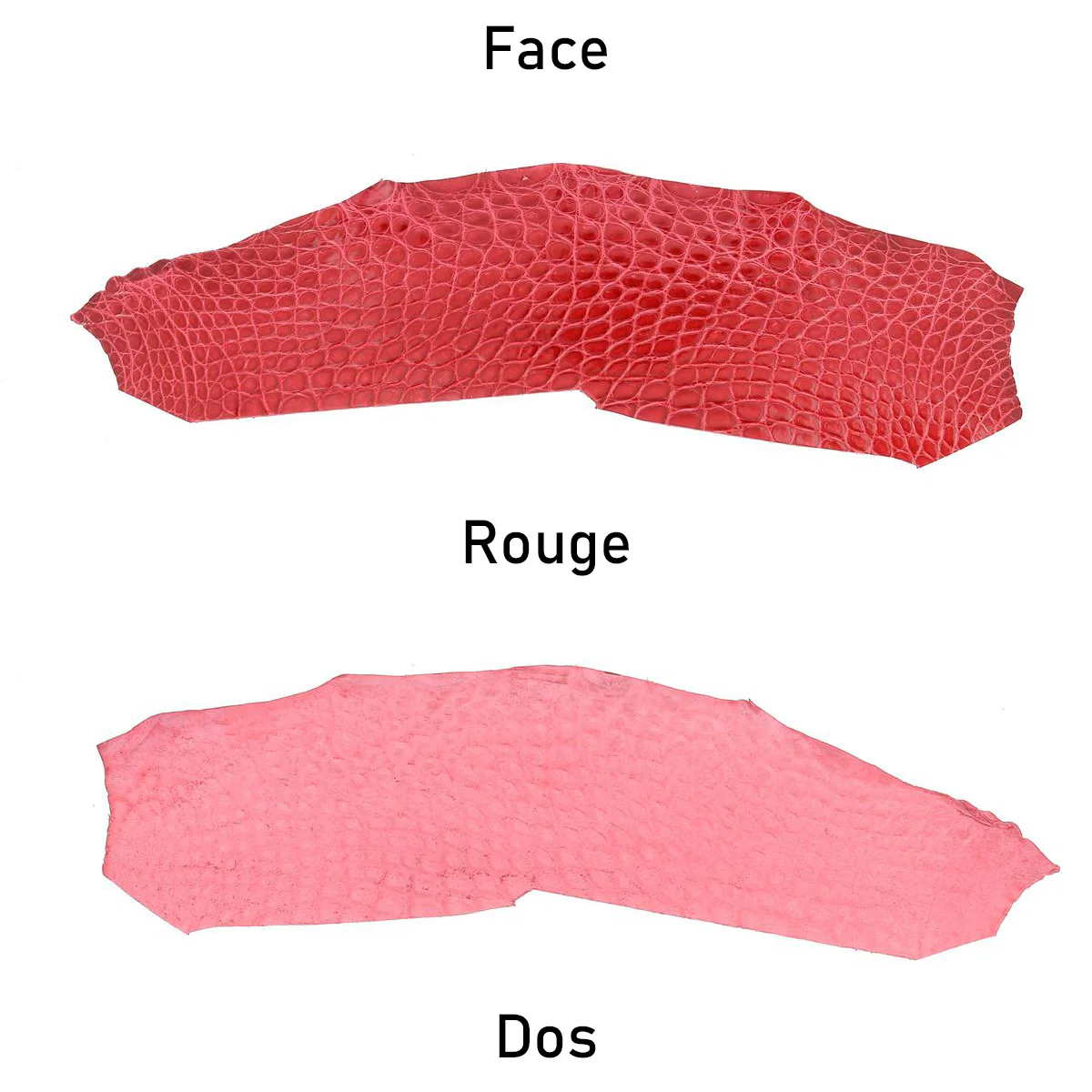 Flanc de cuir d'Alligator brillant - ROUGE - Image 3