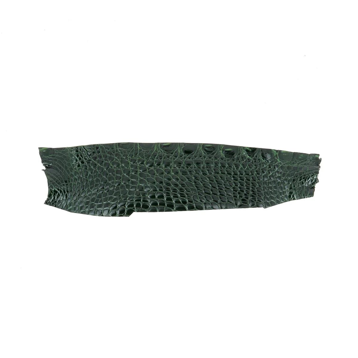 Flanc de cuir d'Alligator brillant - VERT BOUTEILLE