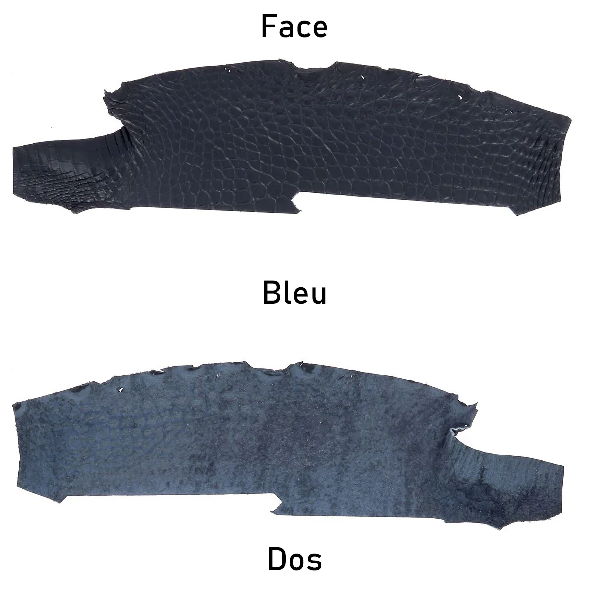 Flanc de cuir d'Alligator mat - BLEU - Image 3