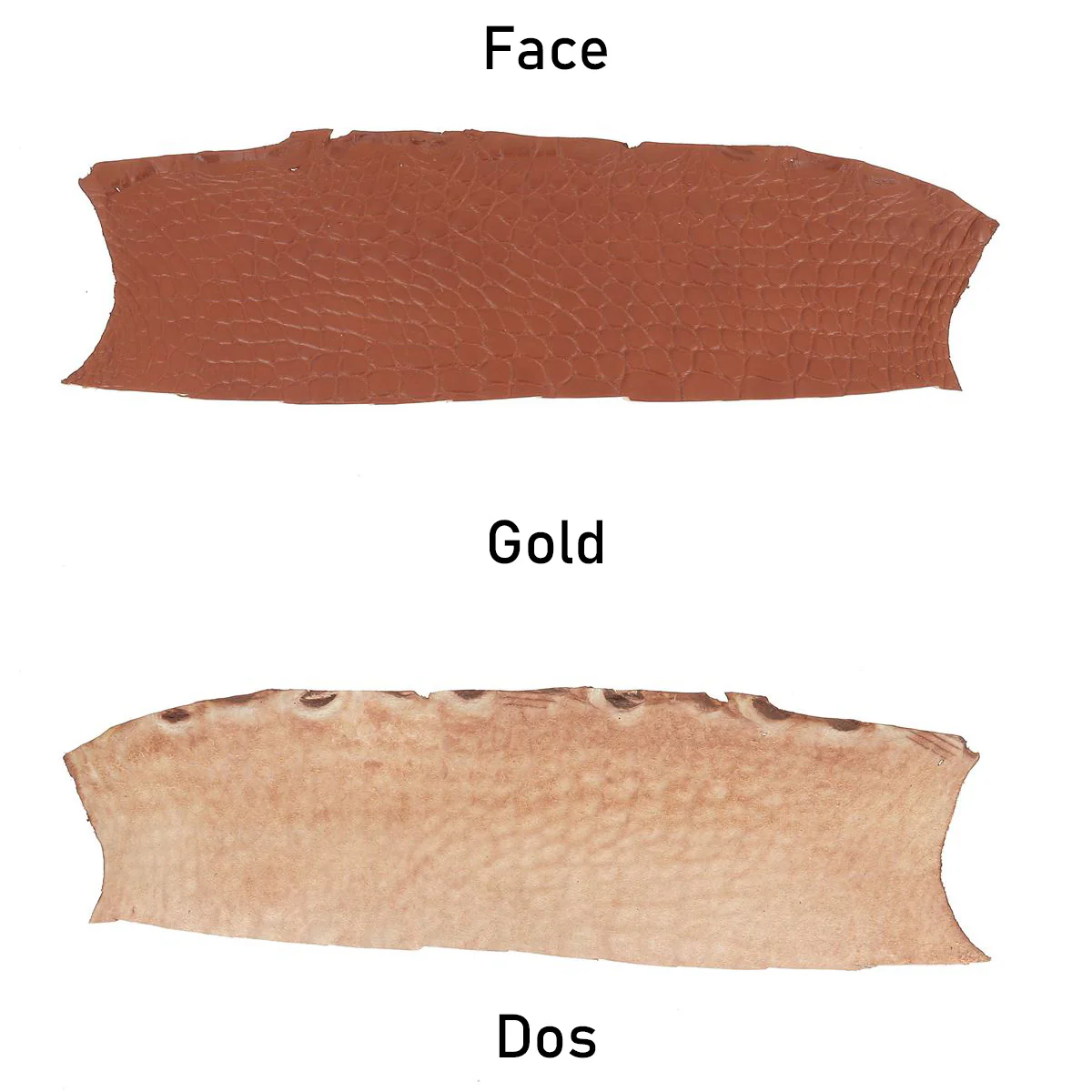 Flanc de cuir d'Alligator mat - GOLD - Image 3