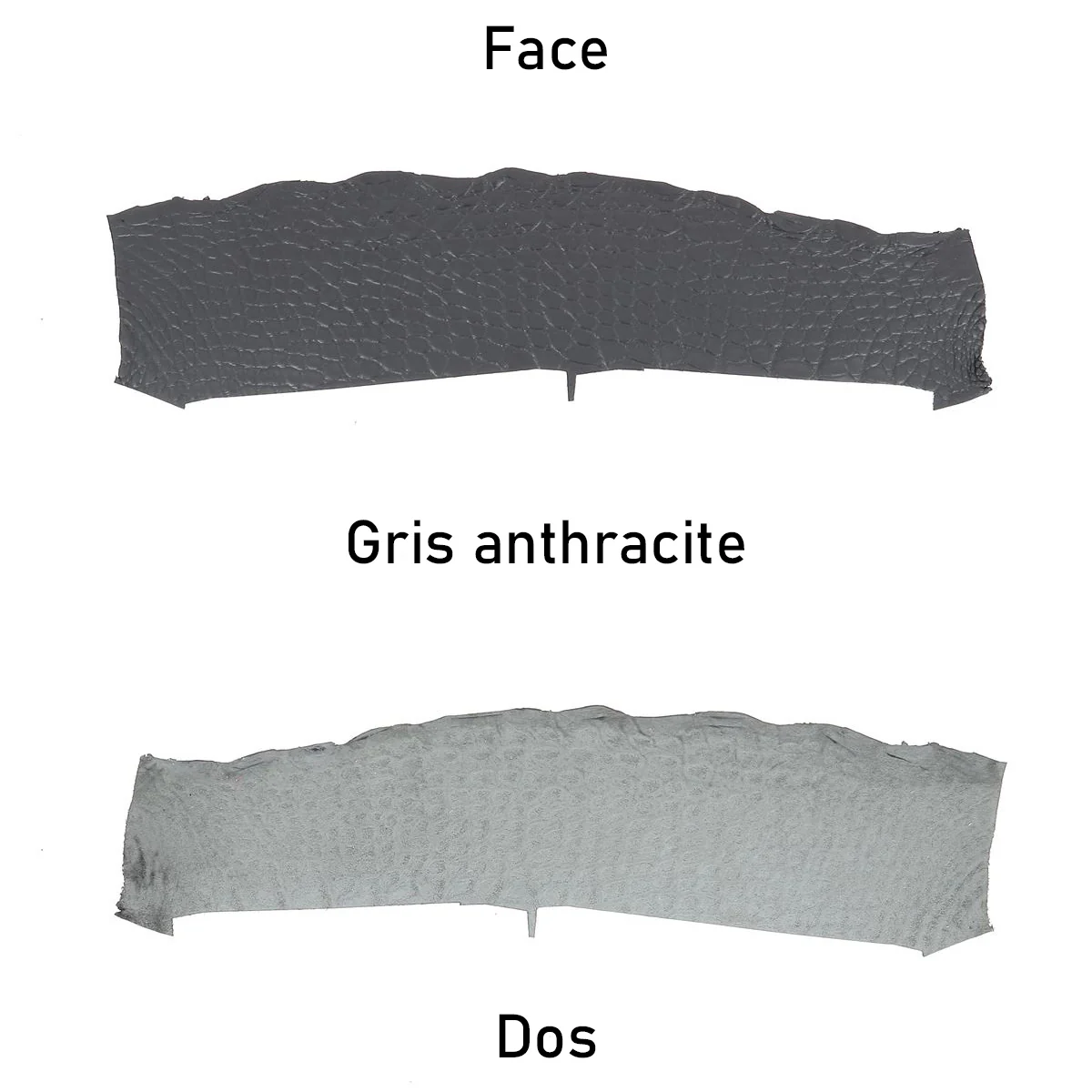 Flanc de cuir d'Alligator mat - GRIS ANTHRACITE - Image 3