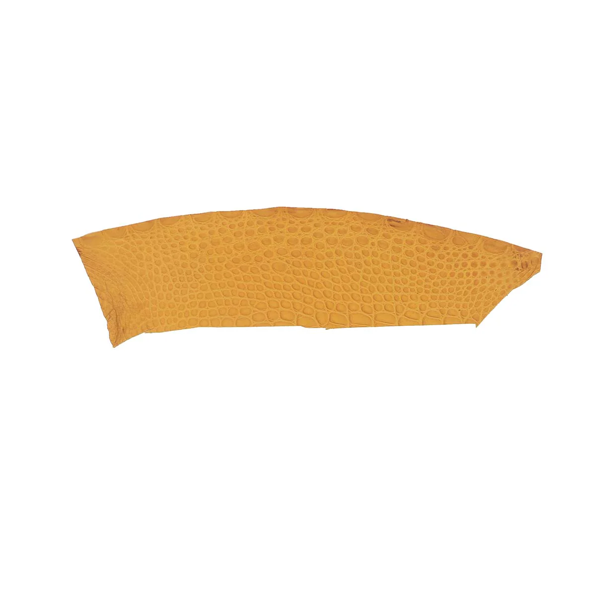 Flanc de cuir d'Alligator mat - OCRE
