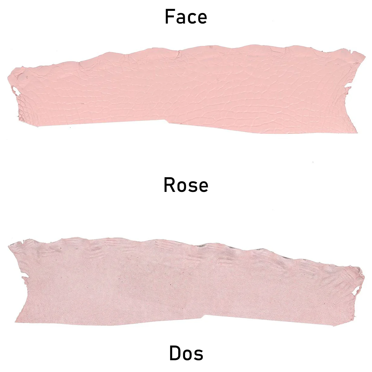 Flanc de cuir d'Alligator mat - ROSE - Image 3
