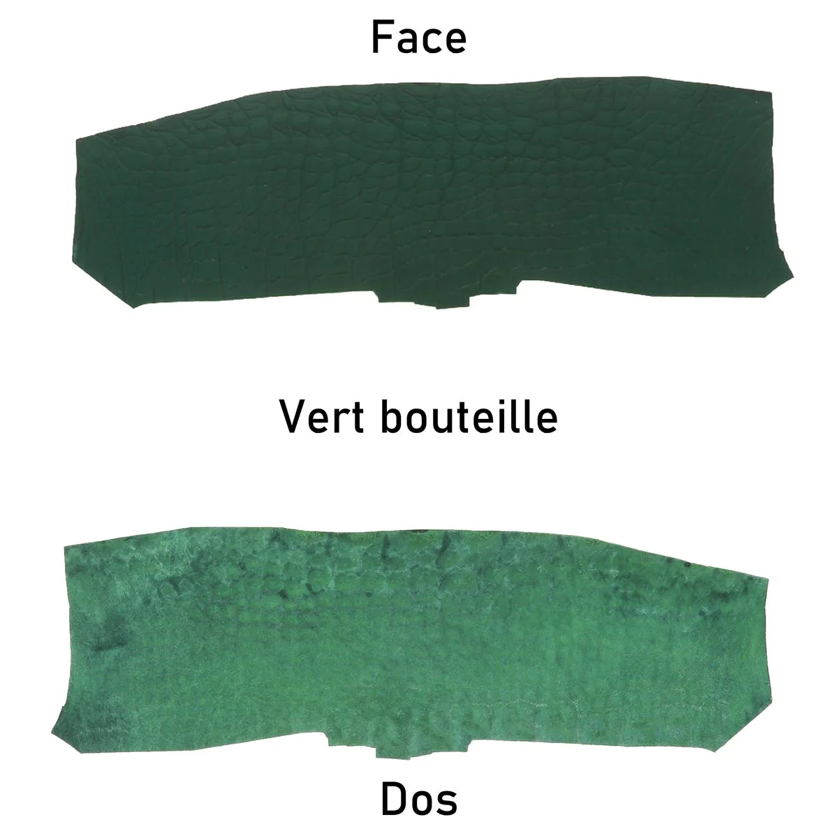 Flanc de cuir d'Alligator mat - VERT BOUTEILLE - Image 3