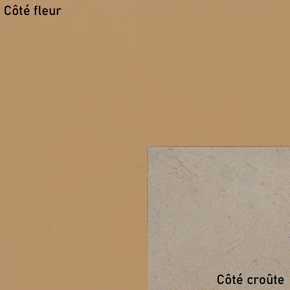 Peau de cuir de veau SATINLYS - CAPPUCCINO - Image 4