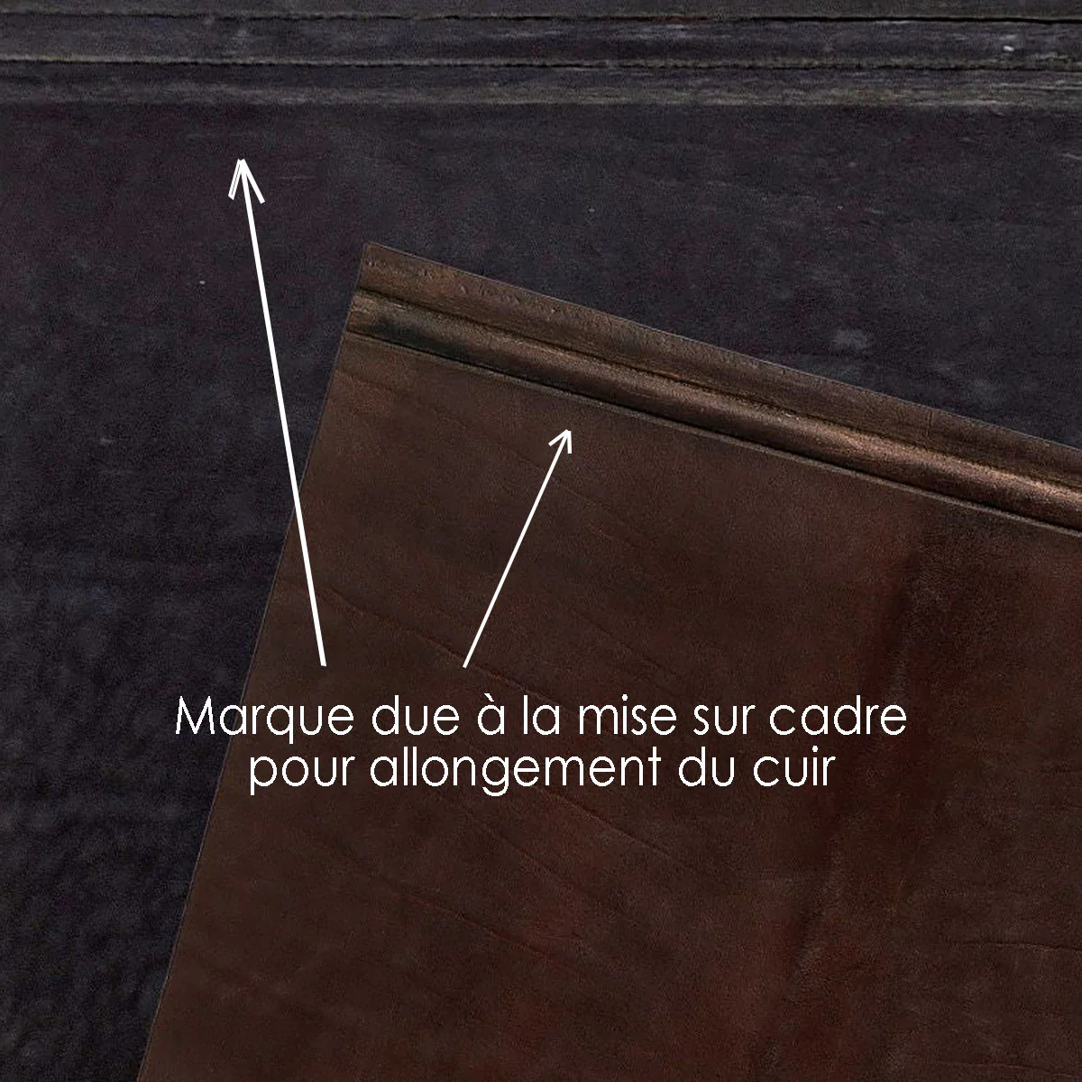 Lanière en cuir de croupon pré-étiré BOYOMA - Radermecker - 28mm - CHOCOLAT - Ép 5,3mm - Image 4