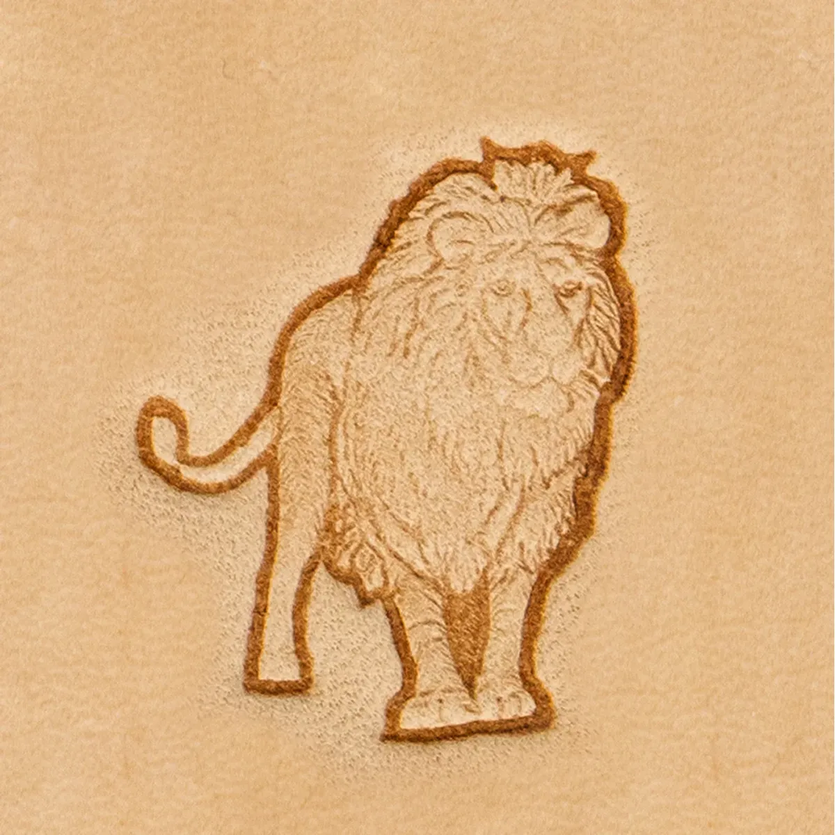 Matoir 3D - Lion - 8721