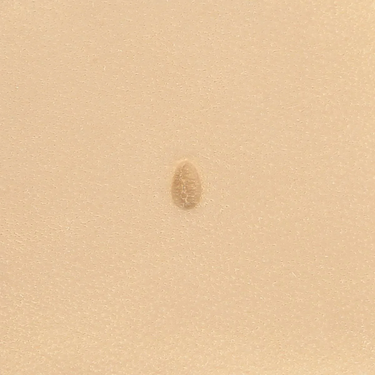 Matoir sur manche TANDY LEATHER - Pear Shader lisse 3 mm - 6233 - P233