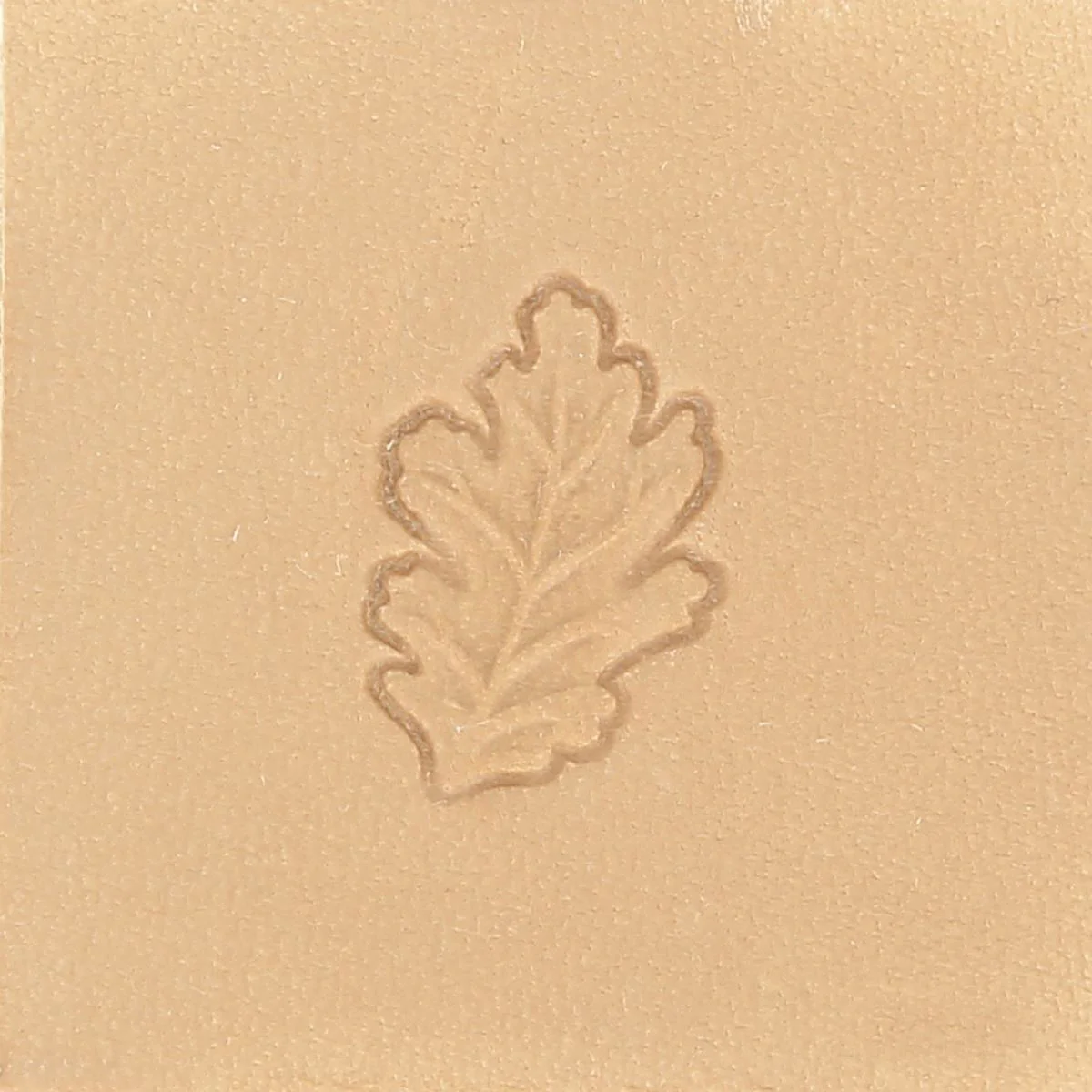 Matoir sur manche TANDY LEATHER - Feuille de chêne - Image 3