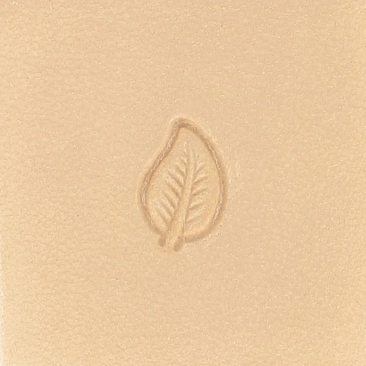 Matoir sur manche TANDY LEATHER - Feuille - Image 3