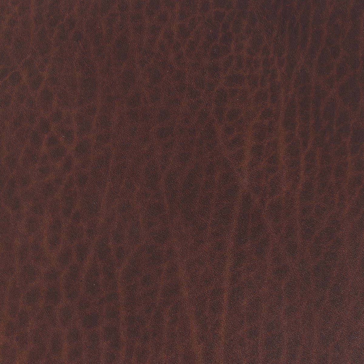 Morceau de cuir de collet tannage végétal SAUVAGE - CHÂTAIGNE