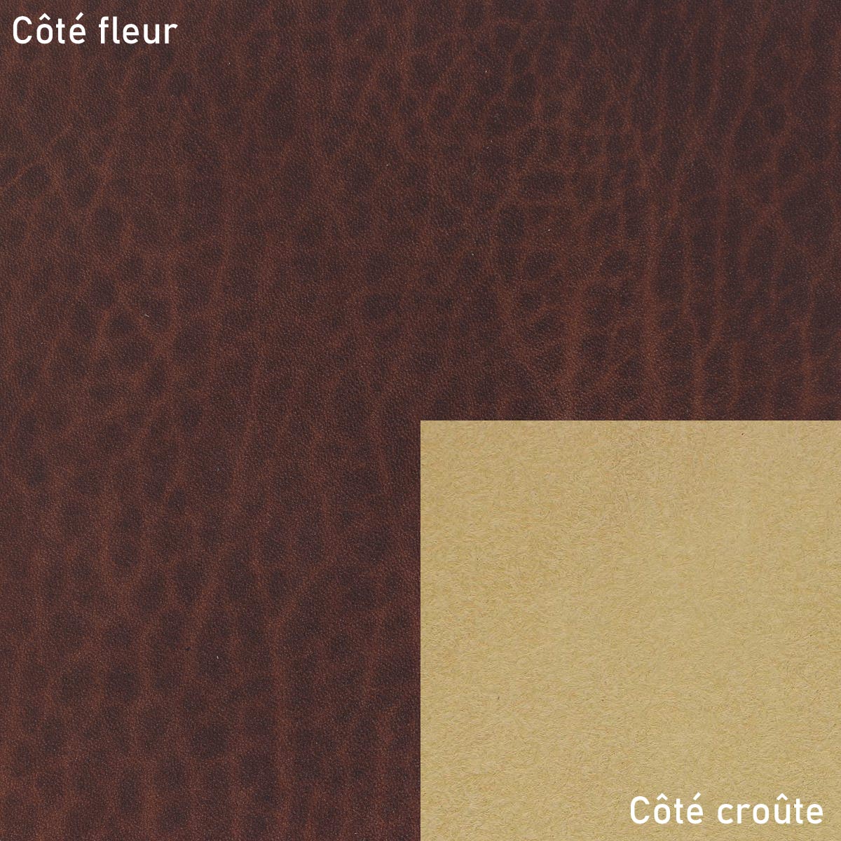 Morceau de cuir de collet tannage végétal SAUVAGE - CHÂTAIGNE - Image 3