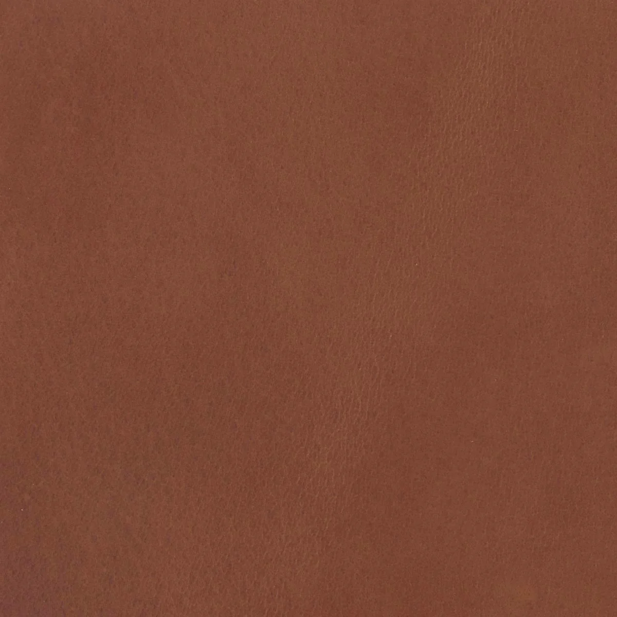 Morceau de cuir de croupon tannage végétal - COGNAC 002
