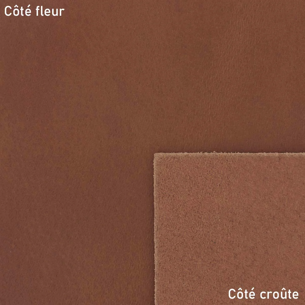 Morceau de cuir de croupon tannage végétal - COGNAC 002 - Image 4