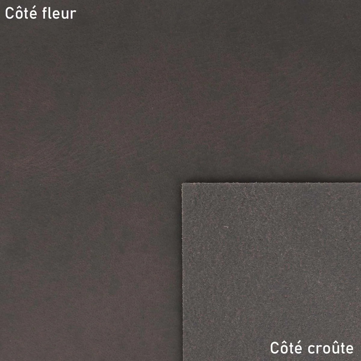 Morceau de cuir de croupon tannage végétal - MARRON - Image 4