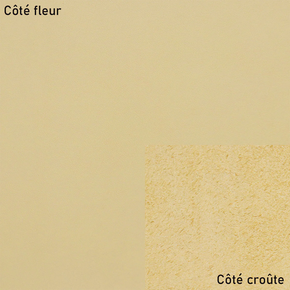 Peau de cuir de vachette SUAVE - VANILLE R14 - Image 2