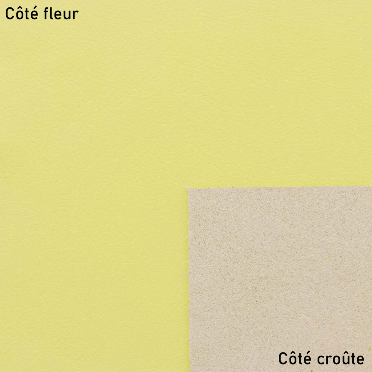 Morceau de cuir de veau lisse - JAUNE PÂLE D69 - Image 2
