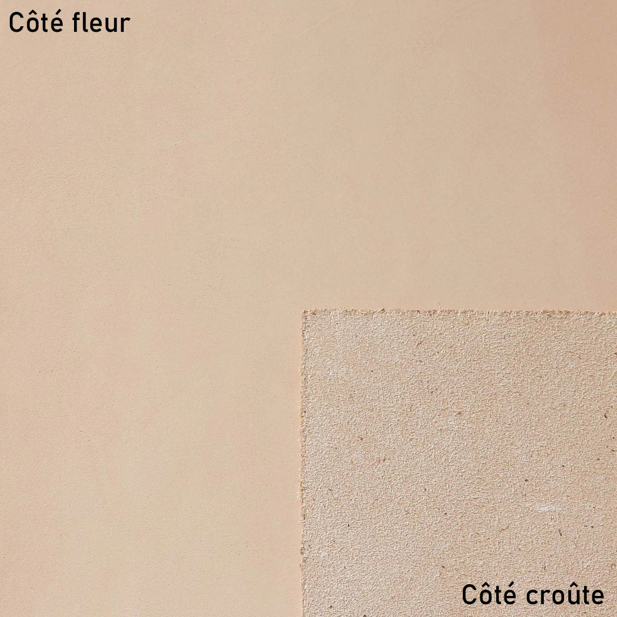 Morceau de collet tannage végétal naturel PREMIUM SOUPLE - Image 2