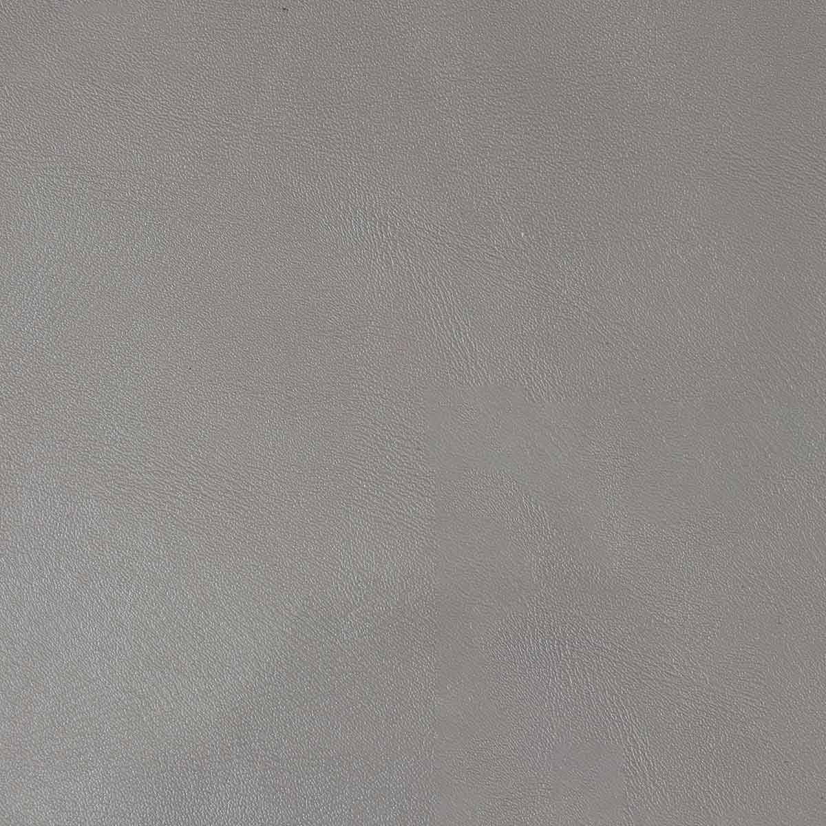 Morceau de croûte de cuir verni - ARGENT F33