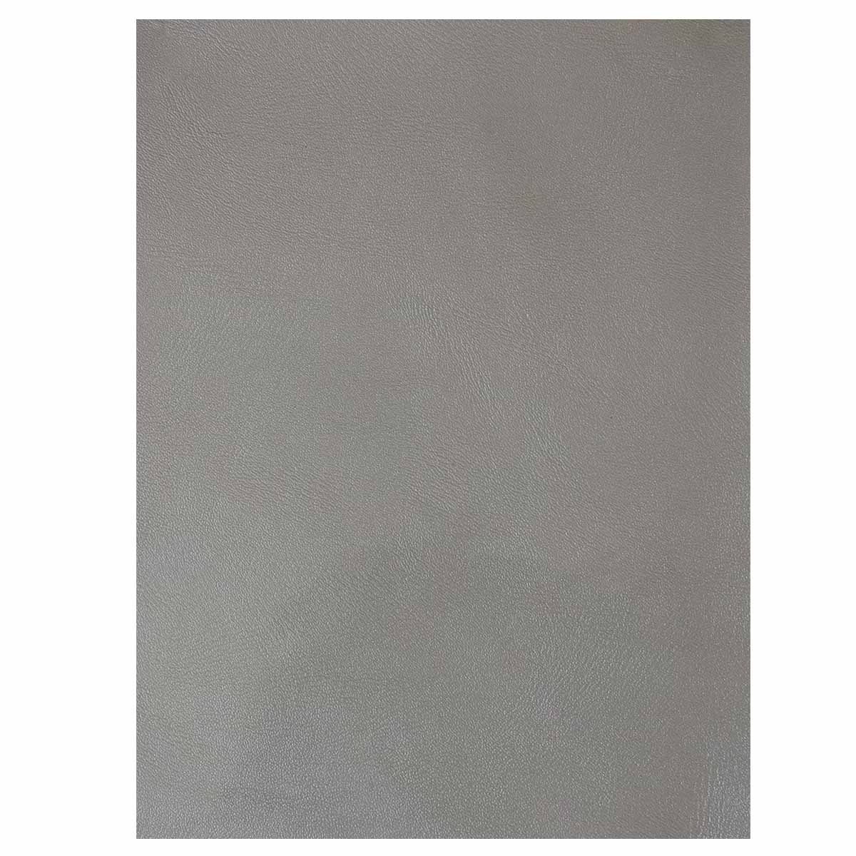 Morceau de croûte de cuir verni - ARGENT F33 - Image 3
