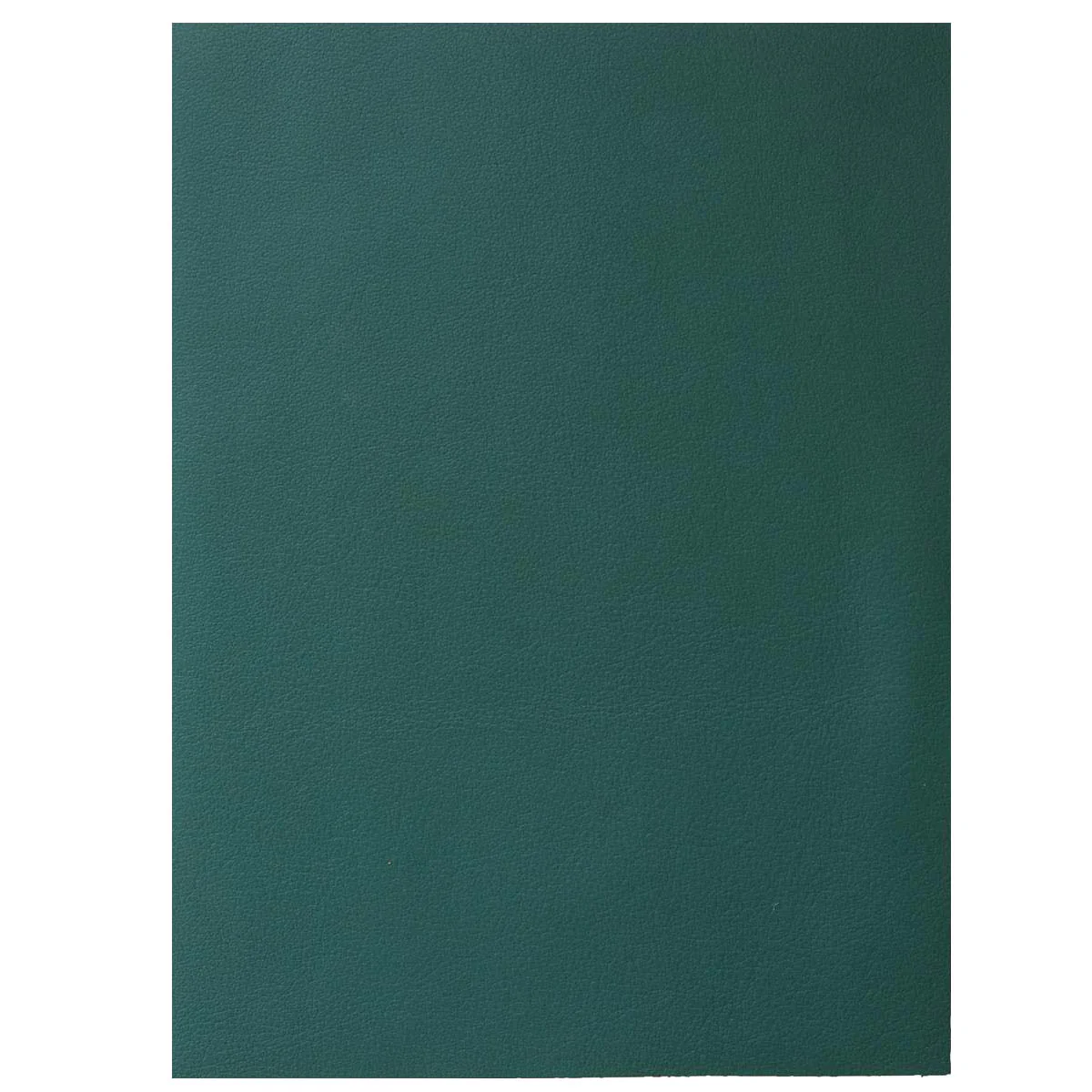Morceau de cuir SWEET 2 - VERT - Image 3