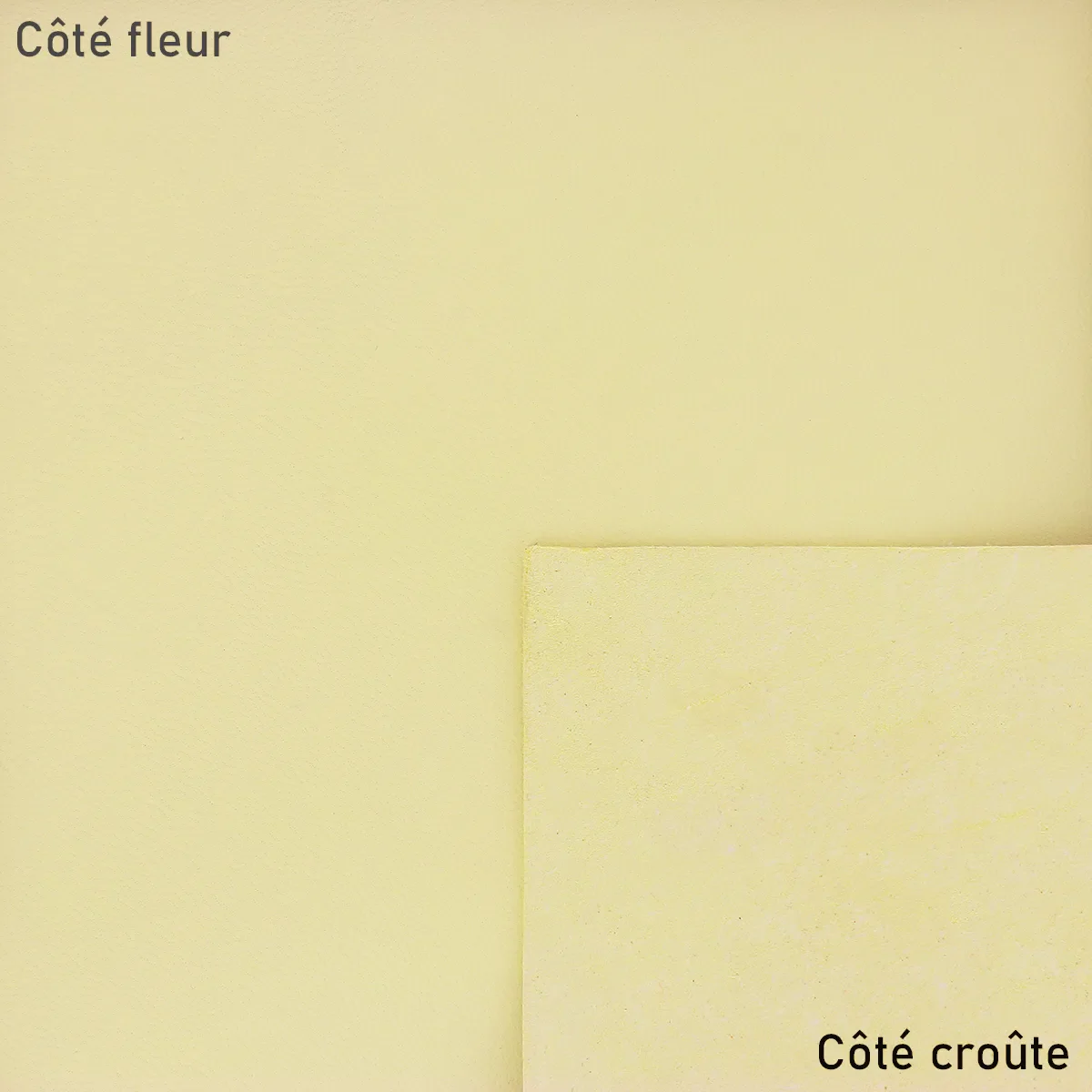 Peau de cuir d'agneau nappa - JAUNE PASTEL T32 - Image 2