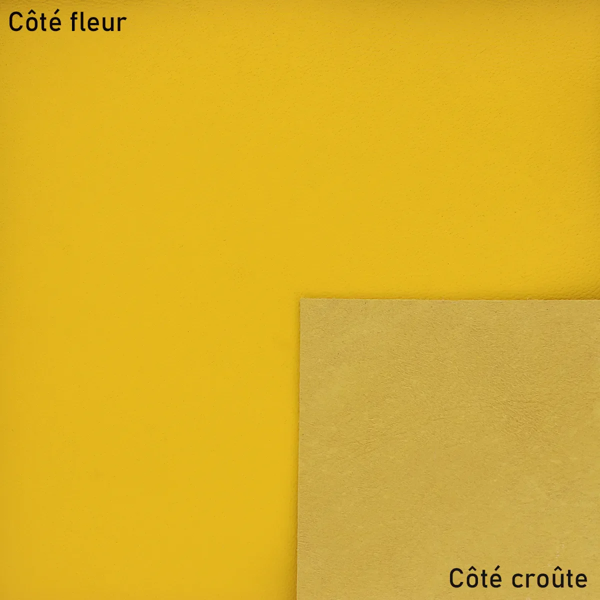 Peau de cuir d'agneau nappa - JAUNE U19 - Image 2