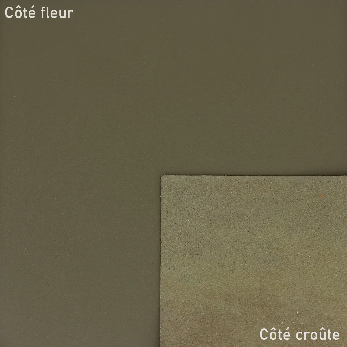 Peau de cuir d'agneau nappa - KAKI U87 - Image 2