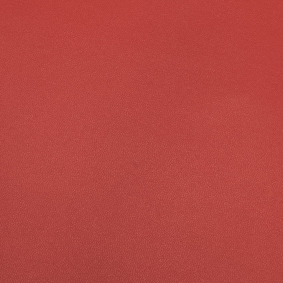 Peau de cuir d'agneau nappa - ROUGE N55 - Image 6