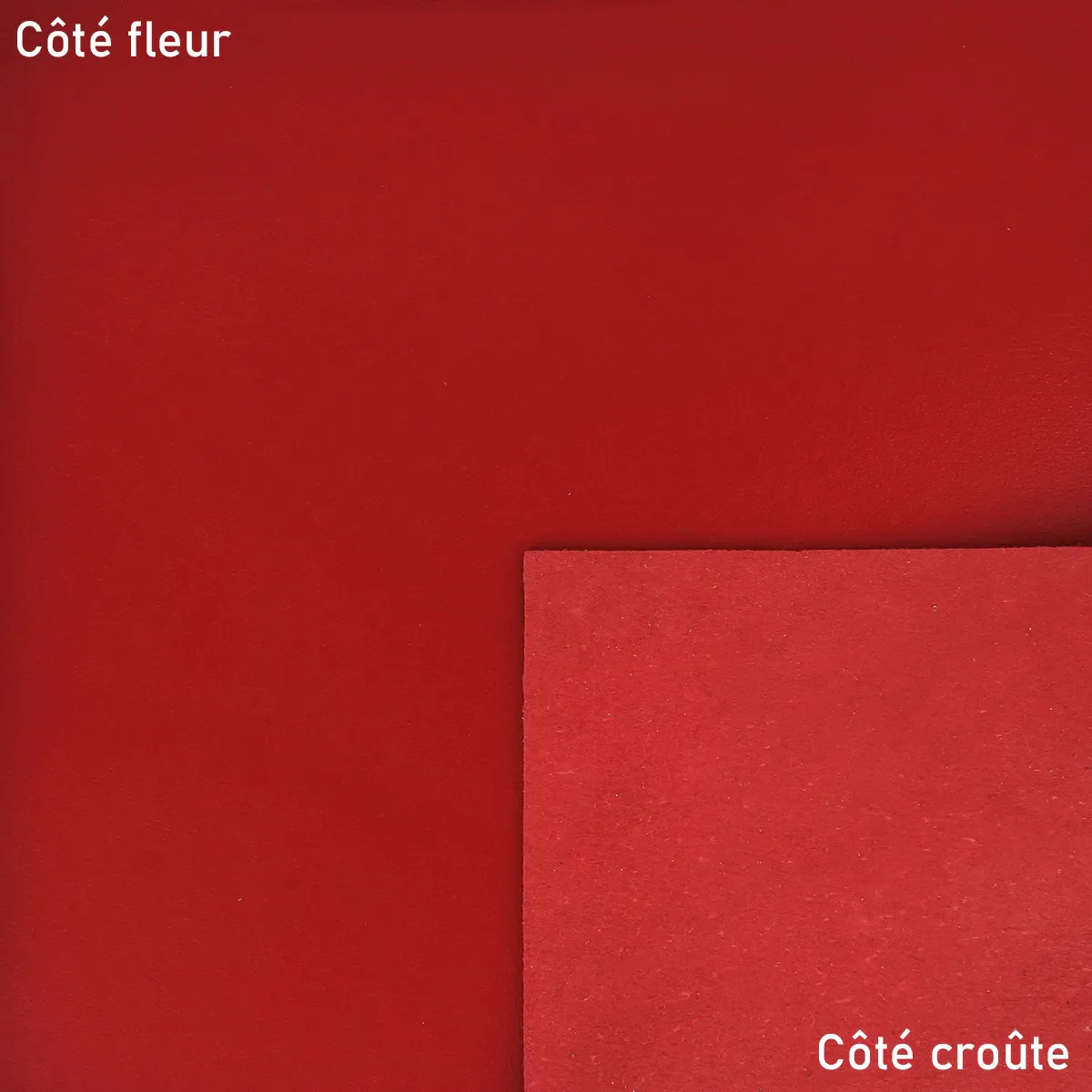 Peau de cuir d'agneau nappa - ROUGE U18 - Image 2