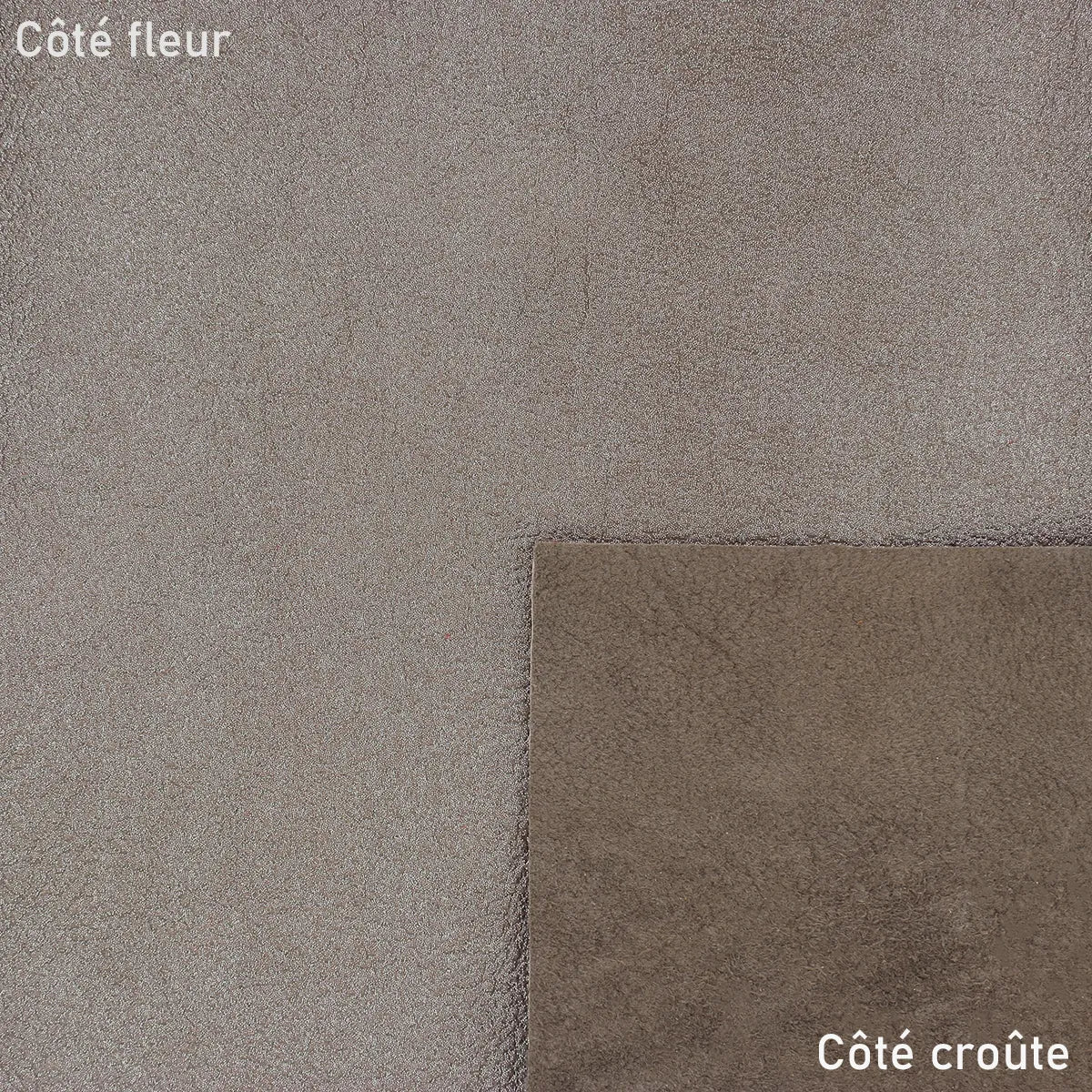 Peau de cuir de chèvre fantaisie - TAUPE PAILLETÉ Q83 - Image 2