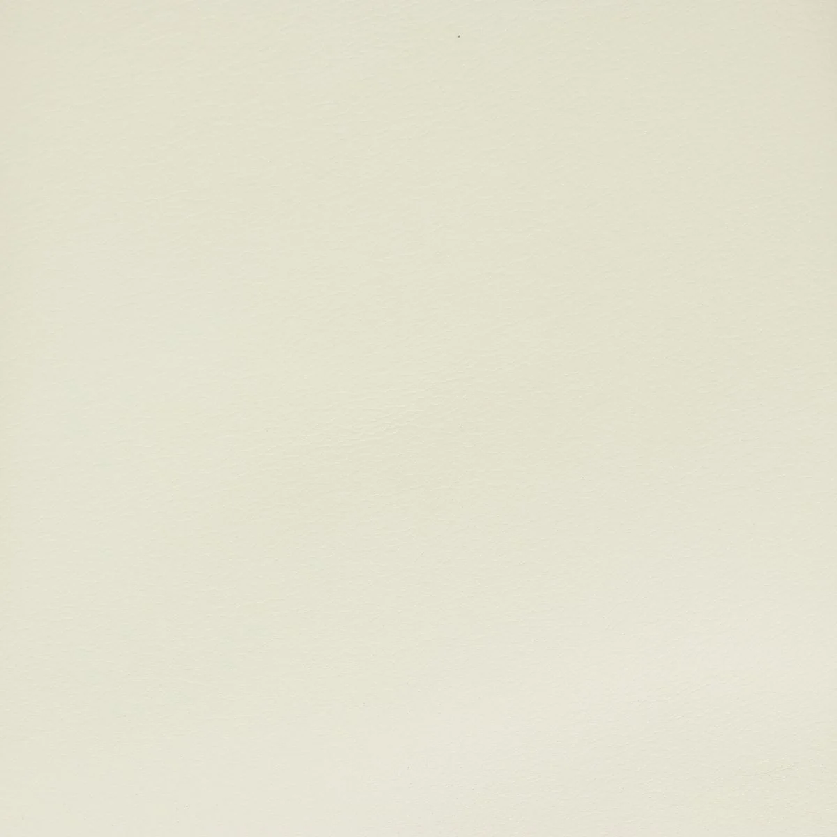 Peau de cuir de chèvre grainé - BLANC CASSÉ O49 - Image 4
