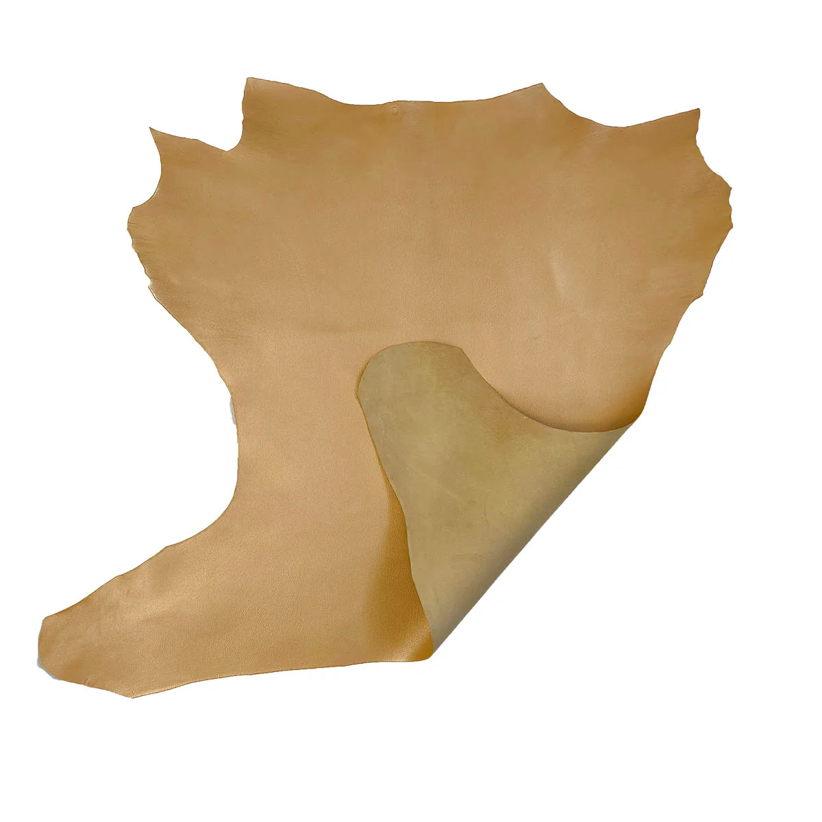 Peau de cuir de chèvre grainé - OR Q06 - Image 3