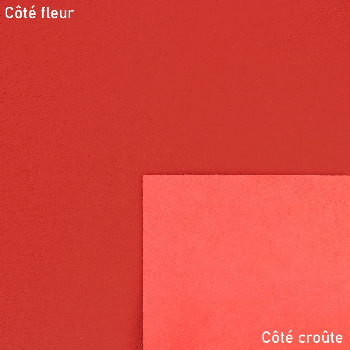 Peau de cuir de chèvre grainé - ROUGE V31 - Image 2