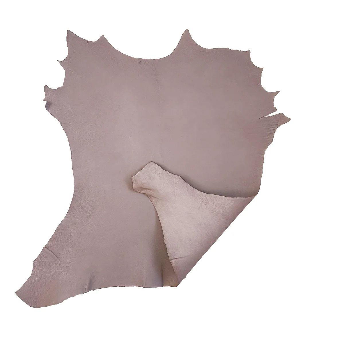 Peau de cuir de chèvre grainé - TAUPE CLAIR Q15 - Image 3