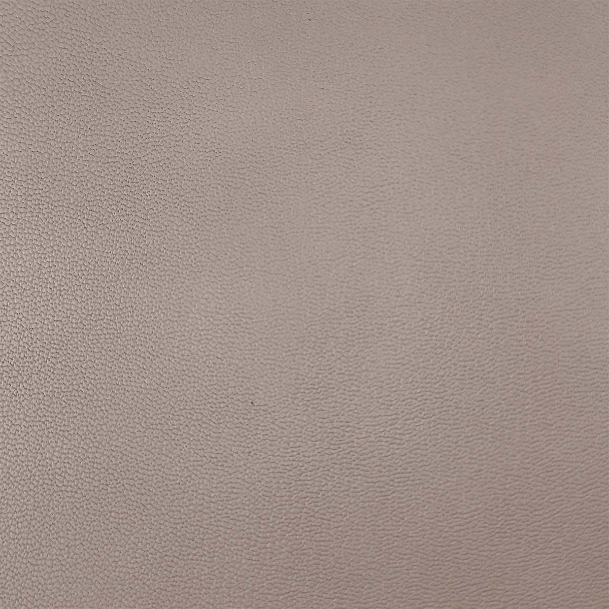 Peau de cuir de chèvre grainé - TAUPE CLAIR Q15 - Image 4