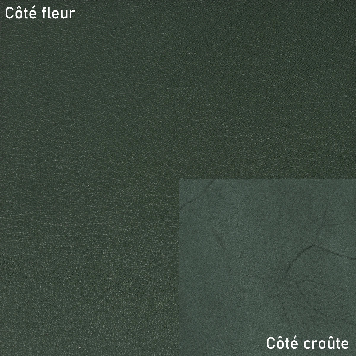 Peau de cuir de chèvre grainé - VERT EMPIRE S20 - Image 2
