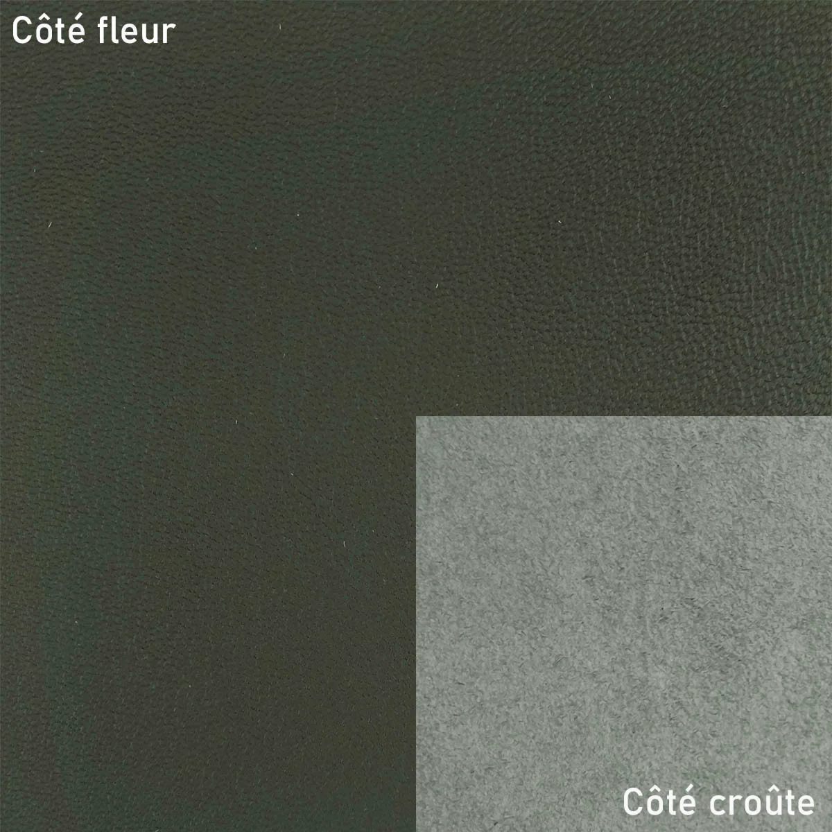 Peau de cuir de chèvre grainé - VERT FONCÉ Q97 - Image 2
