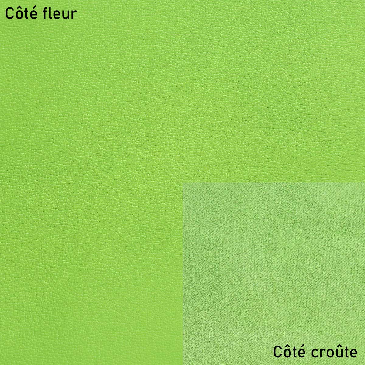 Peau de cuir de chèvre grainé - VERT POMME R86 - Image 2