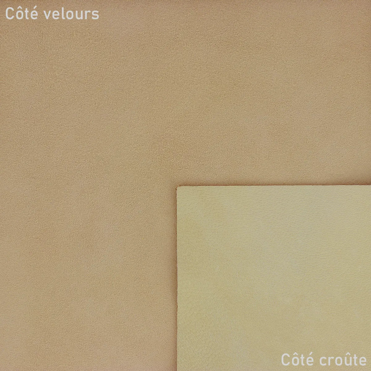 Peau de cuir de chèvre velours - BEIGE SABLE U12 - Image 2