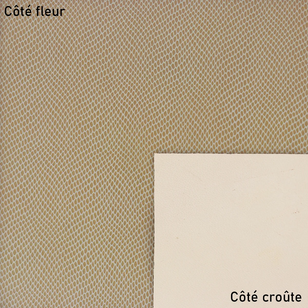 Peau de cuir de chèvre velours fantaisie - imprimé lézard NOISETTE T04 - Image 2
